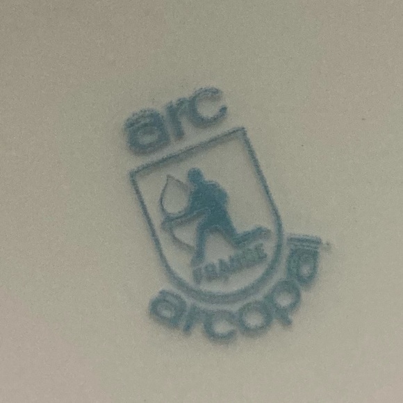 Arcopal Paradise glass dinner plate - Picture 7 of 8